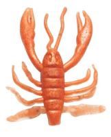 Силикон Berkley -  GULP SW CRABBY 2in NEW PENNY (уп.10шт)