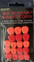 Big Bioyant Sweetcorn Red\ Orange