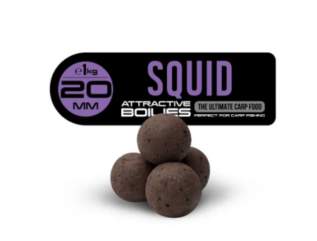 Бойлы FFEM Ajika Boilies Squid 20mm