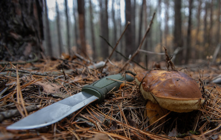 Нож Morakniv Kansbol, нержавеющая сталь, прорезиненная ручка, цвет зеленый+ножны с креплением
