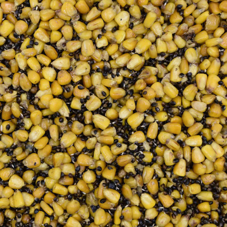 Прикормка Minenko PMbaits READY TO USE MIX №1 (кукуруза,  конопля), 1 кг