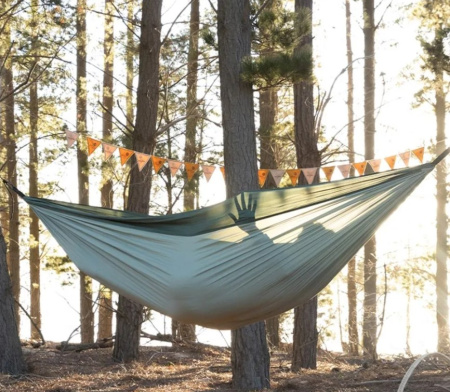 Гамак Naturehike NH21DC011 340T двухместный ультралегкий зеленый