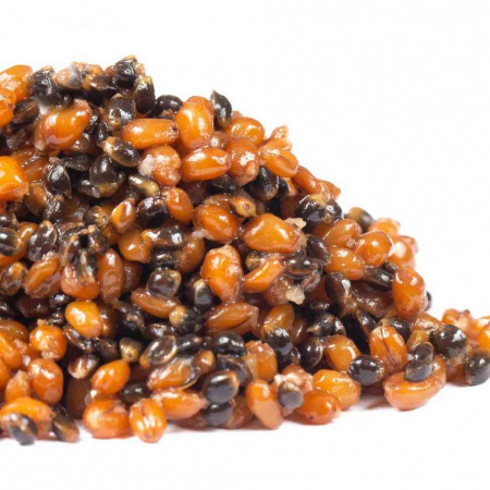 Зерновая смесь Minenko Hemp&Wheat (4кг)