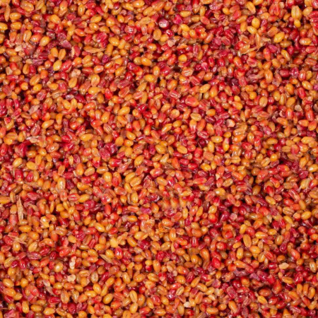 Зерновая смесь Minenko Tropic Fruit MIX Wheat (4кг)